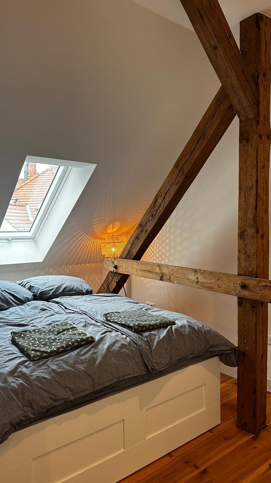 Ruhige-Moderne Wohnung Mit Burgblick Meissen Exterior foto